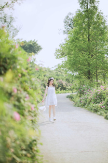 女城管郑媛媛